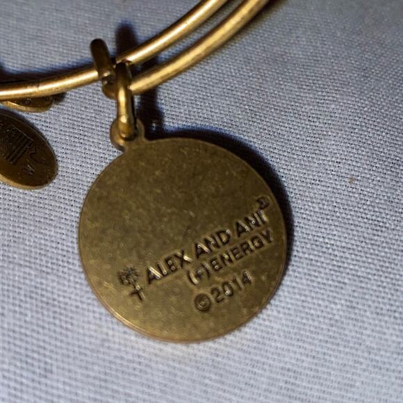Alex and Ani Letter A Adjustable Initial Charm Bracelet Matte Goldtone Hardware - Picture 3 of 6